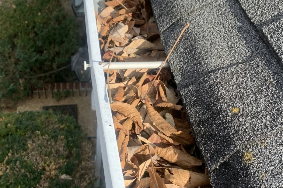 Gutter Cleaning Baldwin